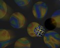 thumbnail of Csg271.jpg